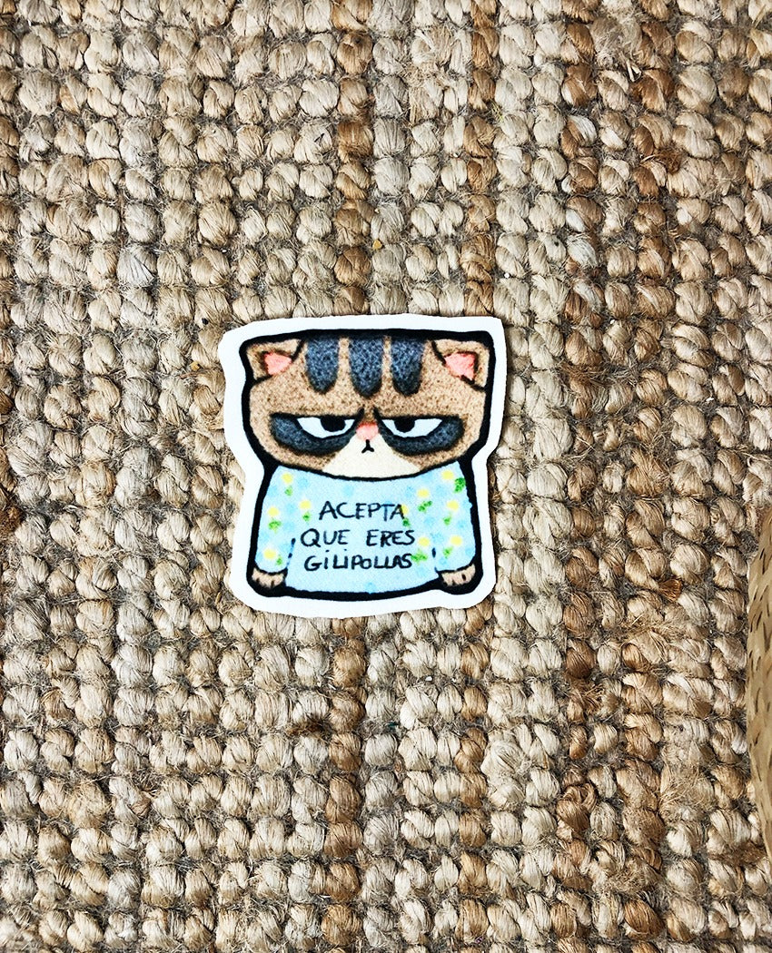 PARCHE GATO ENFADAO