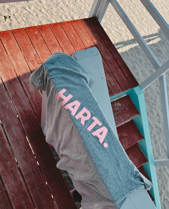 harta3 CAMISETA HARTA GRIS